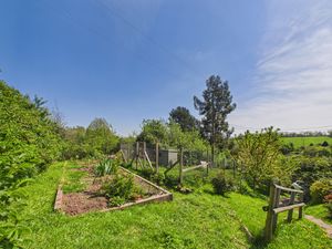 Veg plot and Chicken coop- click for photo gallery